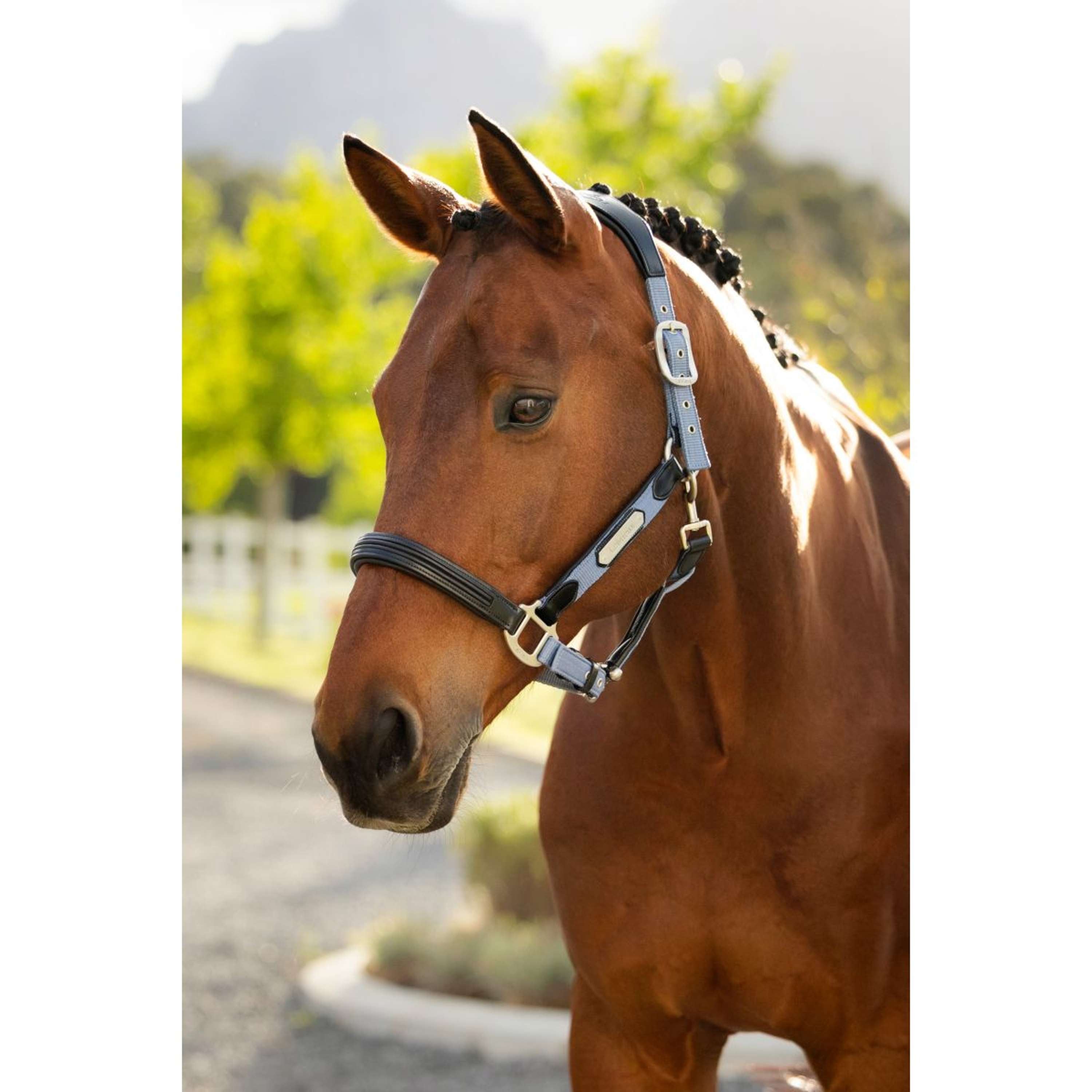 LeMieux Halter Capella Powder Blue