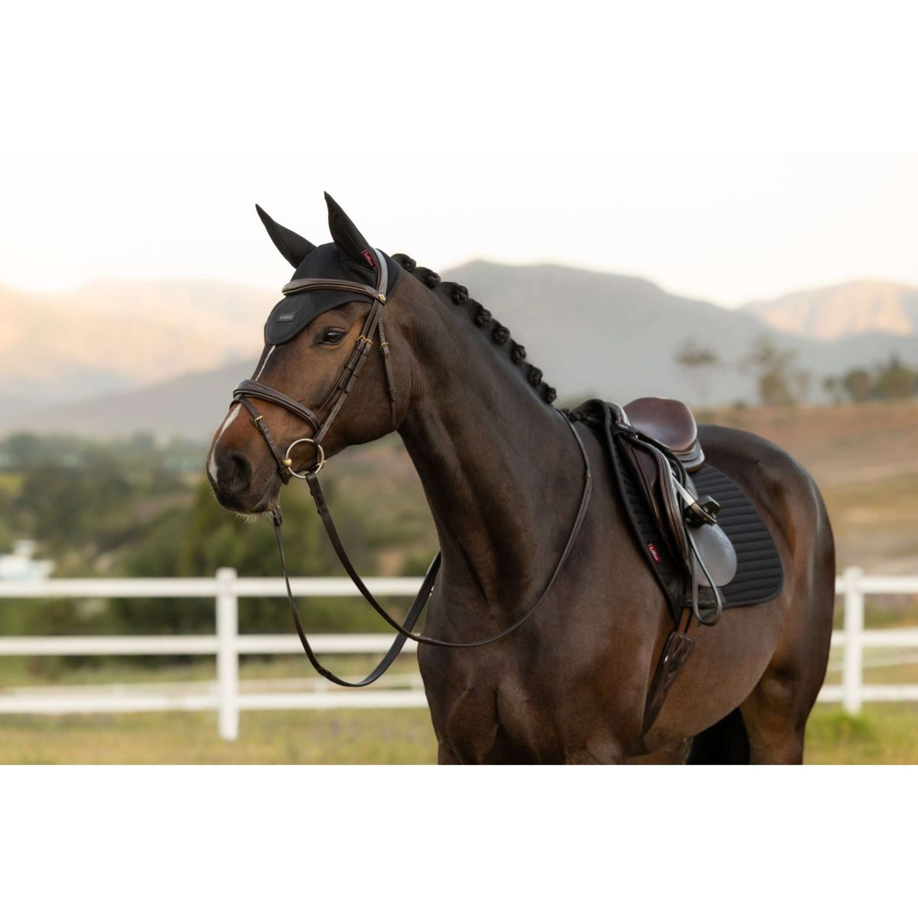 LeMieux Ear Bonnet Air-Tek Mesh Black