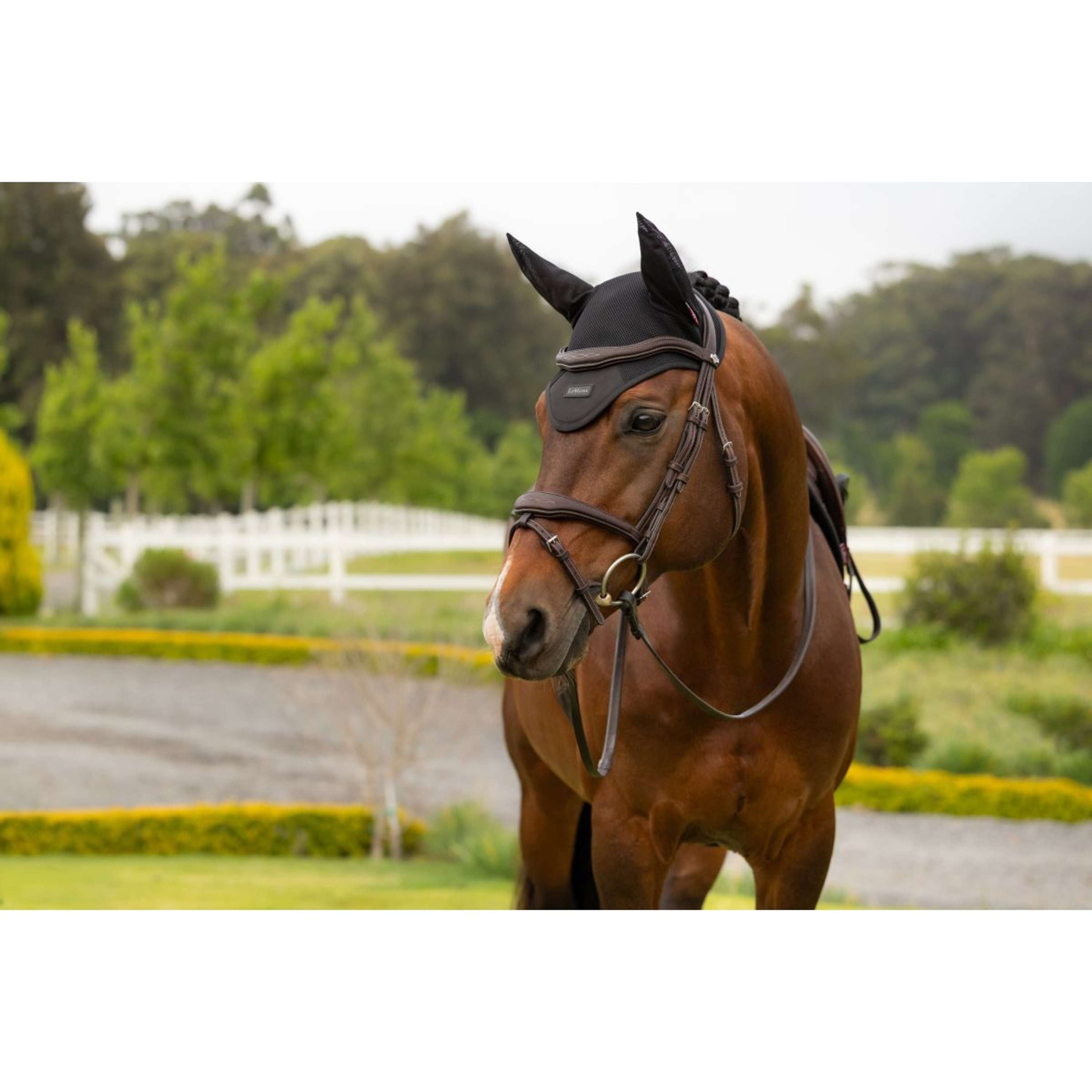LeMieux Ear Bonnet Air-Tek Mesh Black