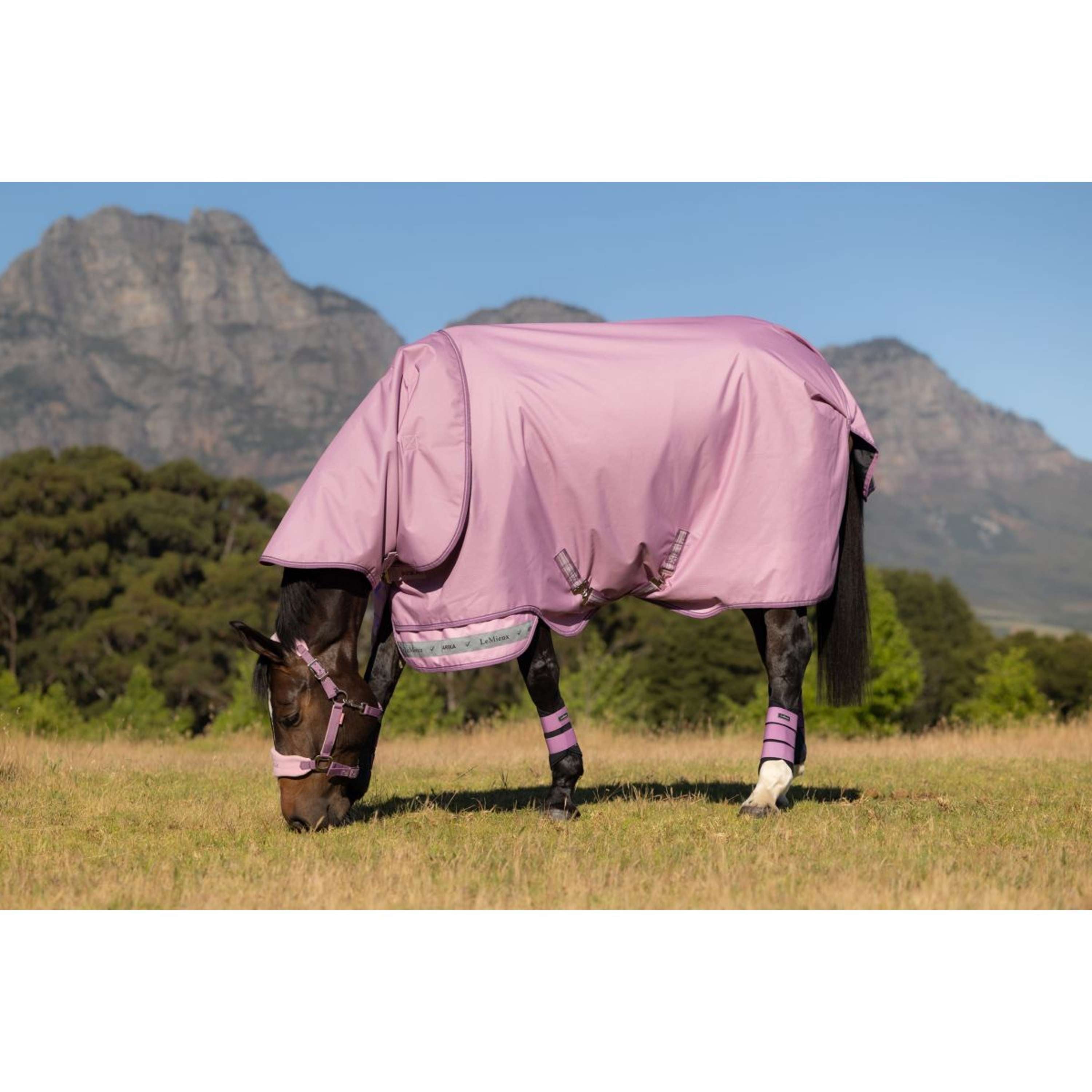 LeMieux Outdoor Rug Arika Ripstop 0g Fondant