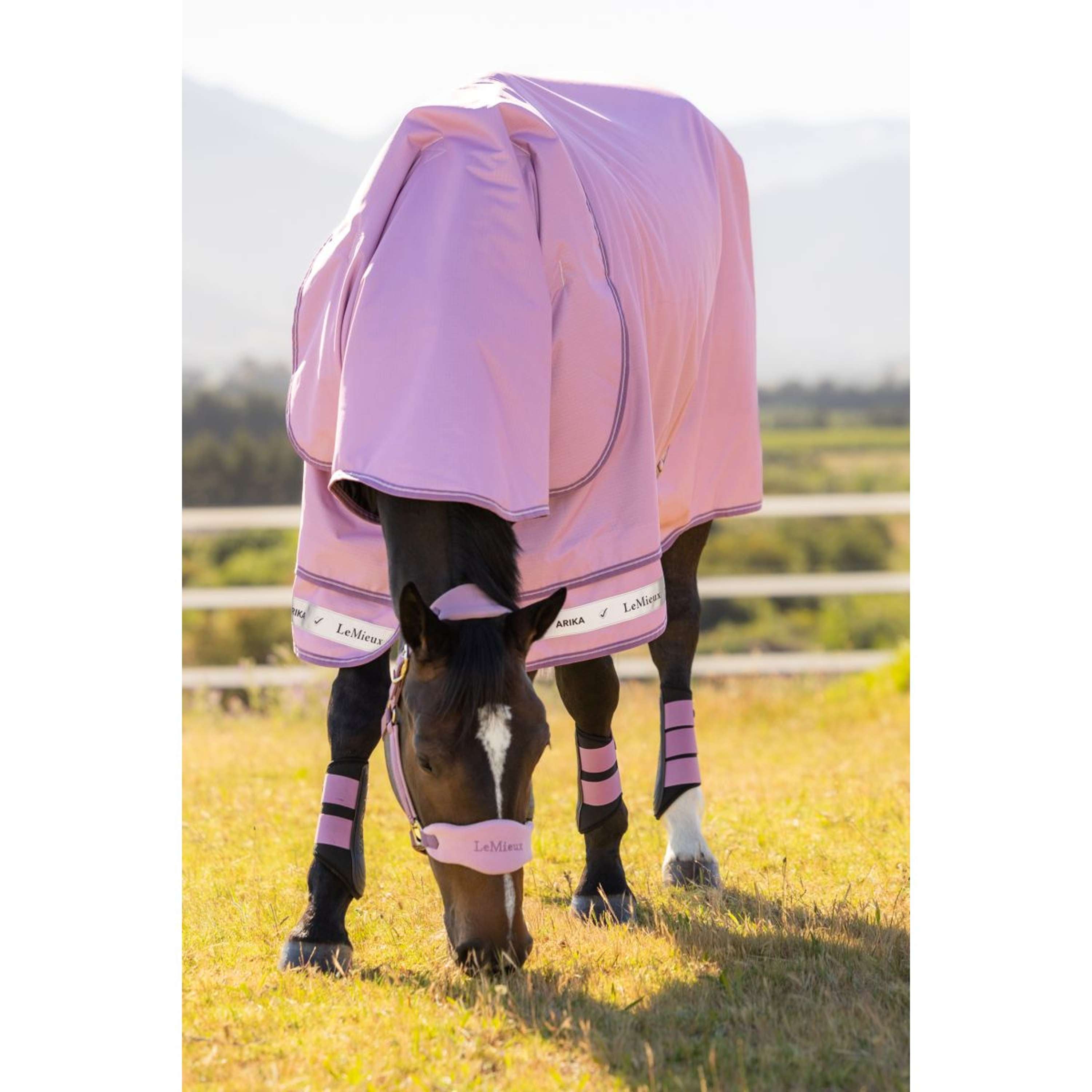 LeMieux Outdoor Rug Arika Ripstop 0g Fondant