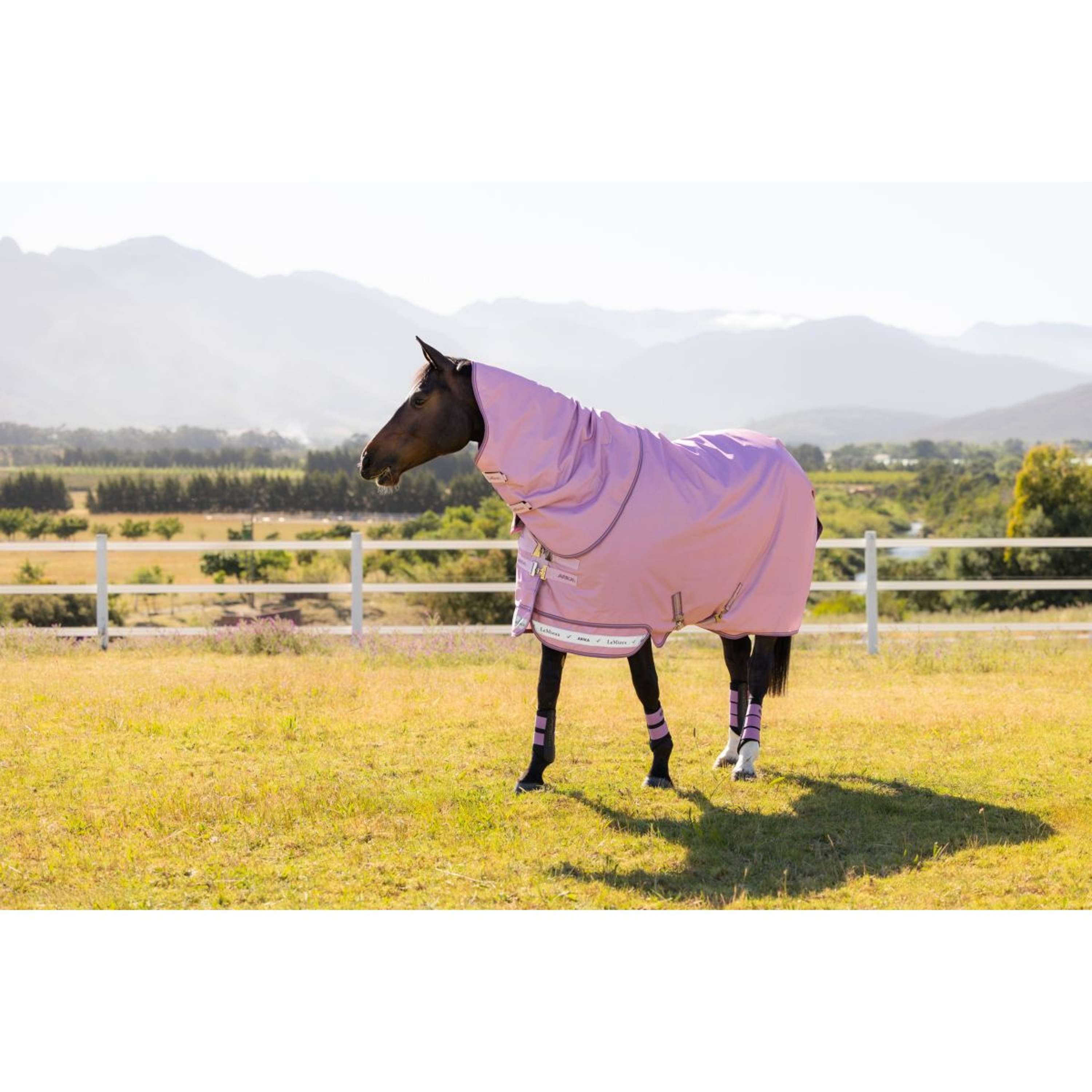 LeMieux Outdoor Rug Arika Ripstop 0g Fondant