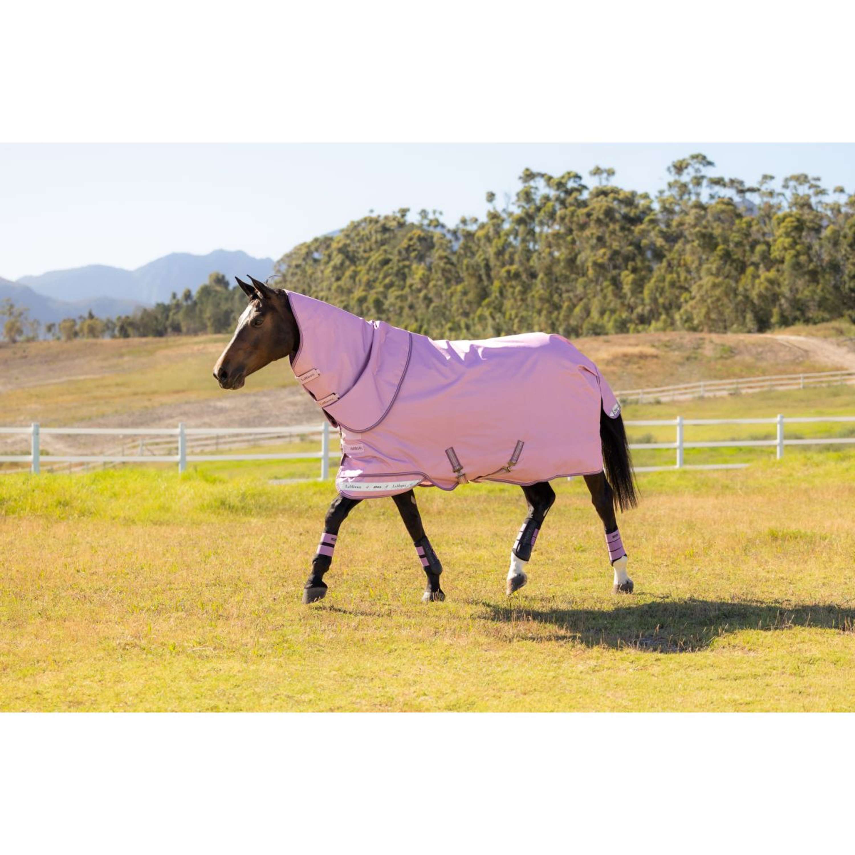 LeMieux Outdoor Rug Arika Ripstop 0g Fondant