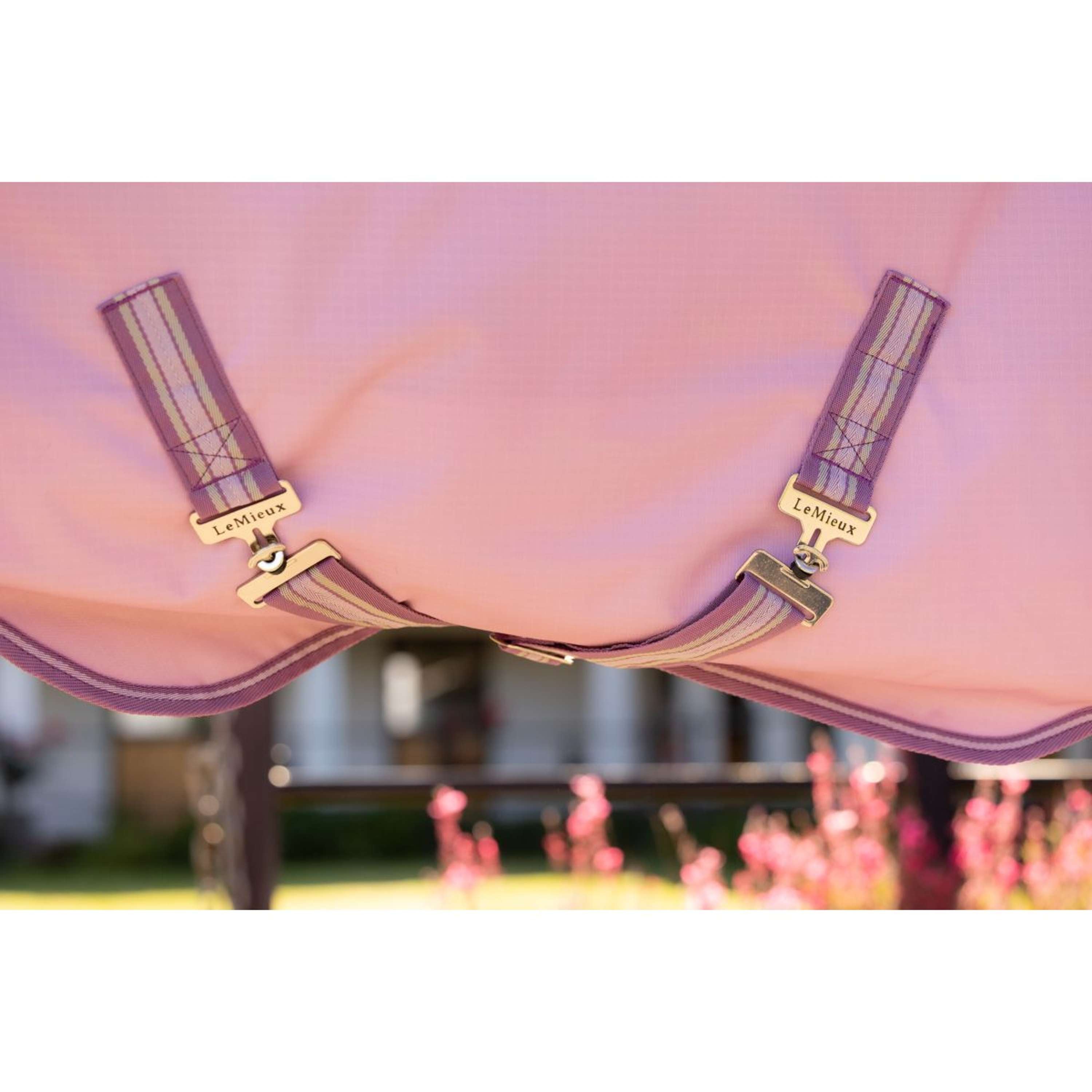 LeMieux Outdoor Rug Arika Ripstop 0g Fondant