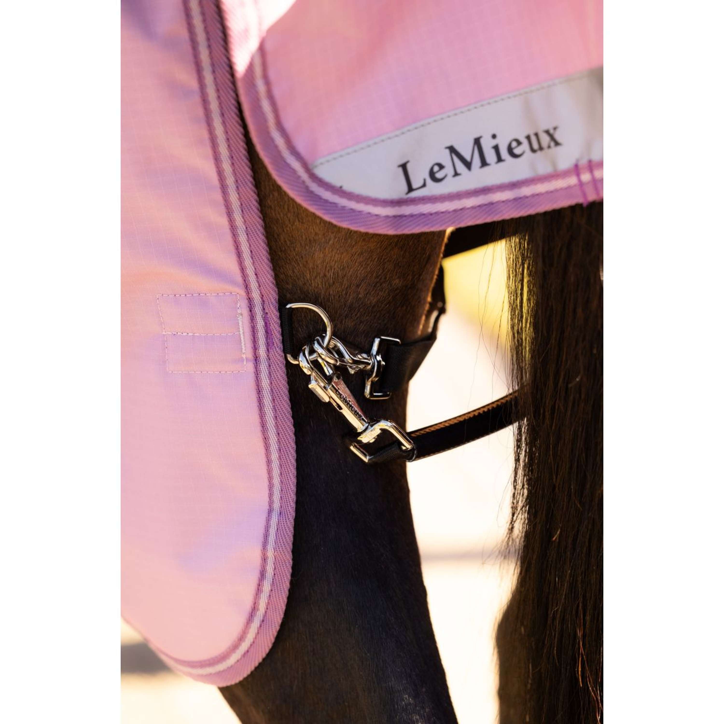 LeMieux Outdoor Rug Arika Ripstop 0g Fondant
