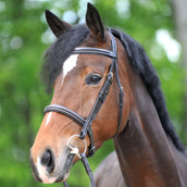 Kavalkade Bridle Akila Hunter Brown