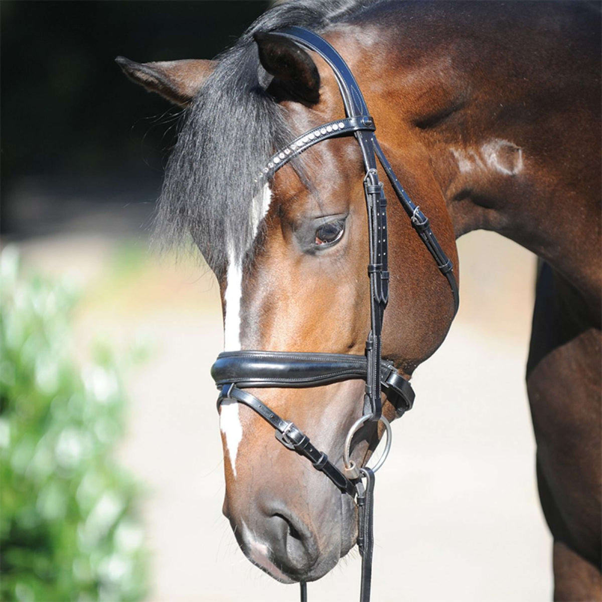 Kavalkade Bridle Charlotte DR Black