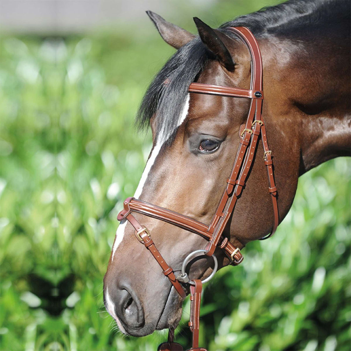 Kavalkade Bridle Lorenz Jumping Cognac