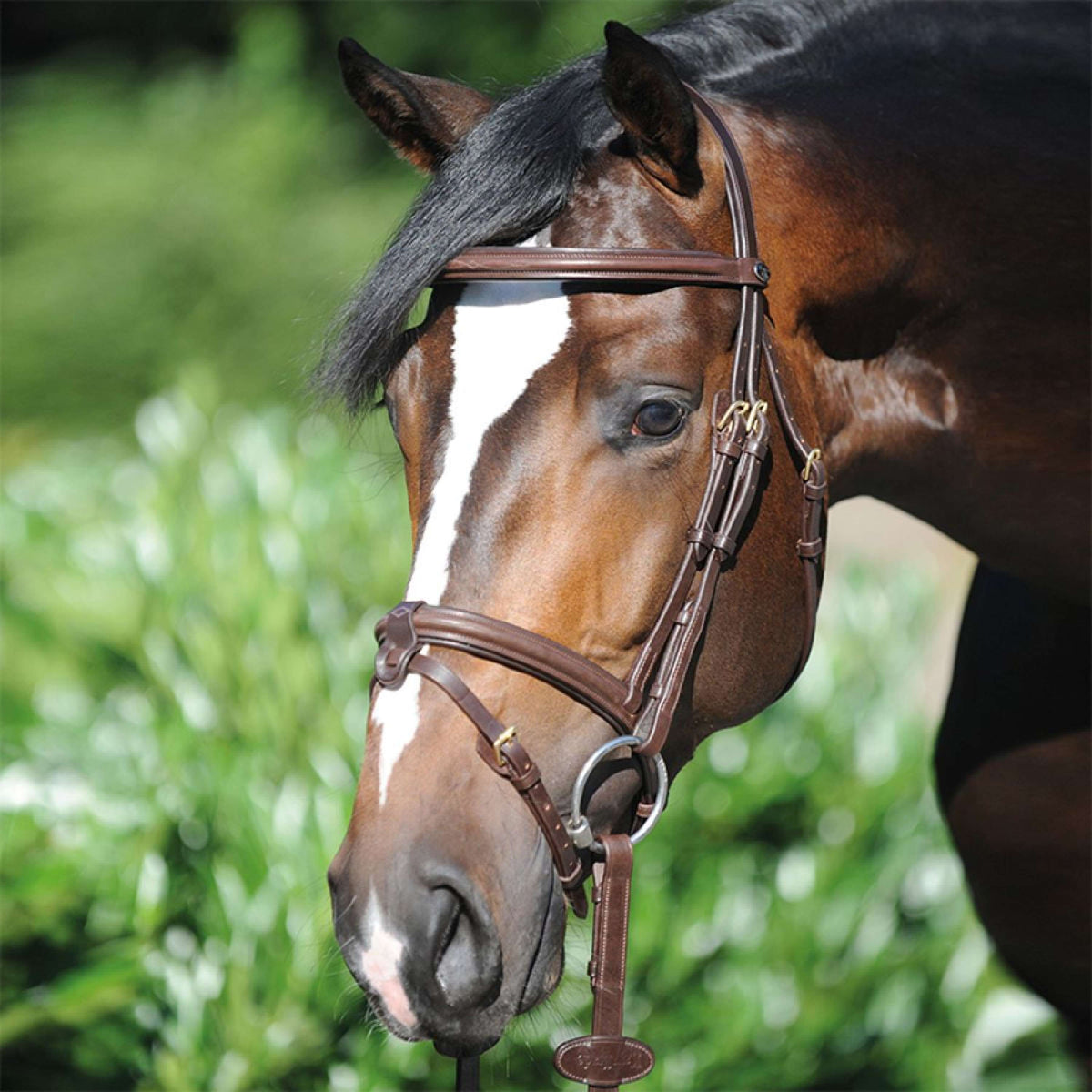 Kavalkade Bridle Lorenz Jumping Brown