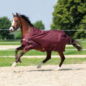 Kavalkade Outdoor Rug Alaska IV Fleece Lining Bordeaux