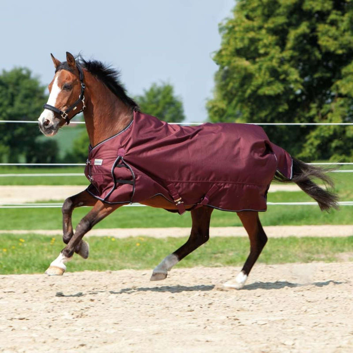 Kavalkade Outdoor Rug Alaska IV Fleece Lining Bordeaux