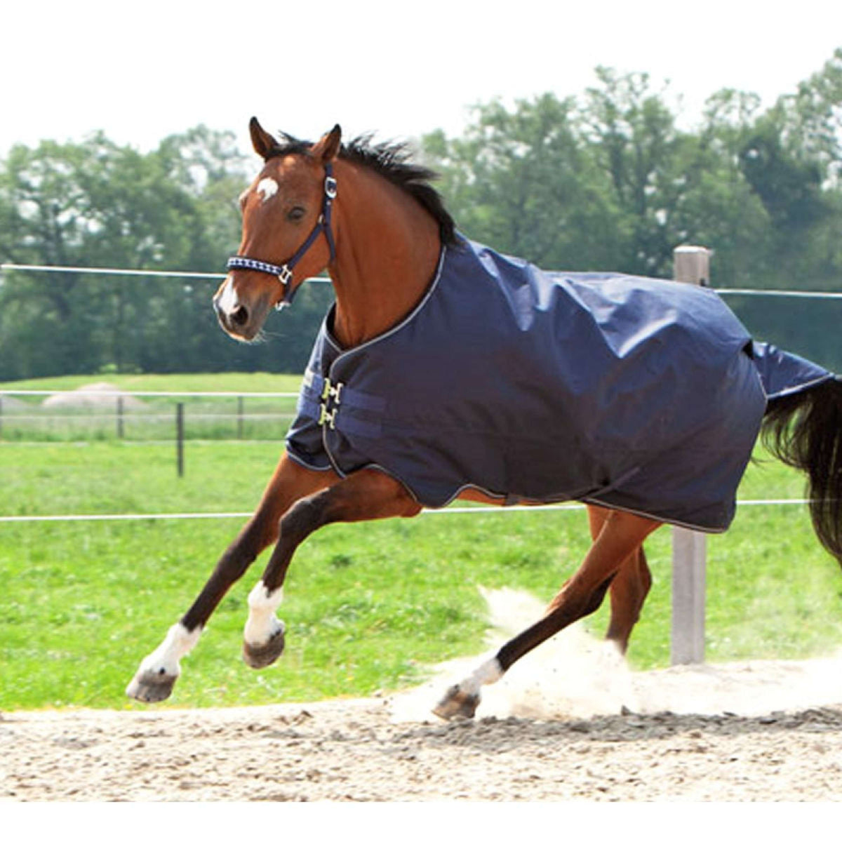 Kavalkade Outdoor Rug Montreal 100g Navy