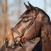 Kavalkade Bridle EveryDay Brown