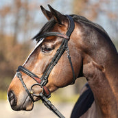 Kavalkade Bridle EveryDay Black