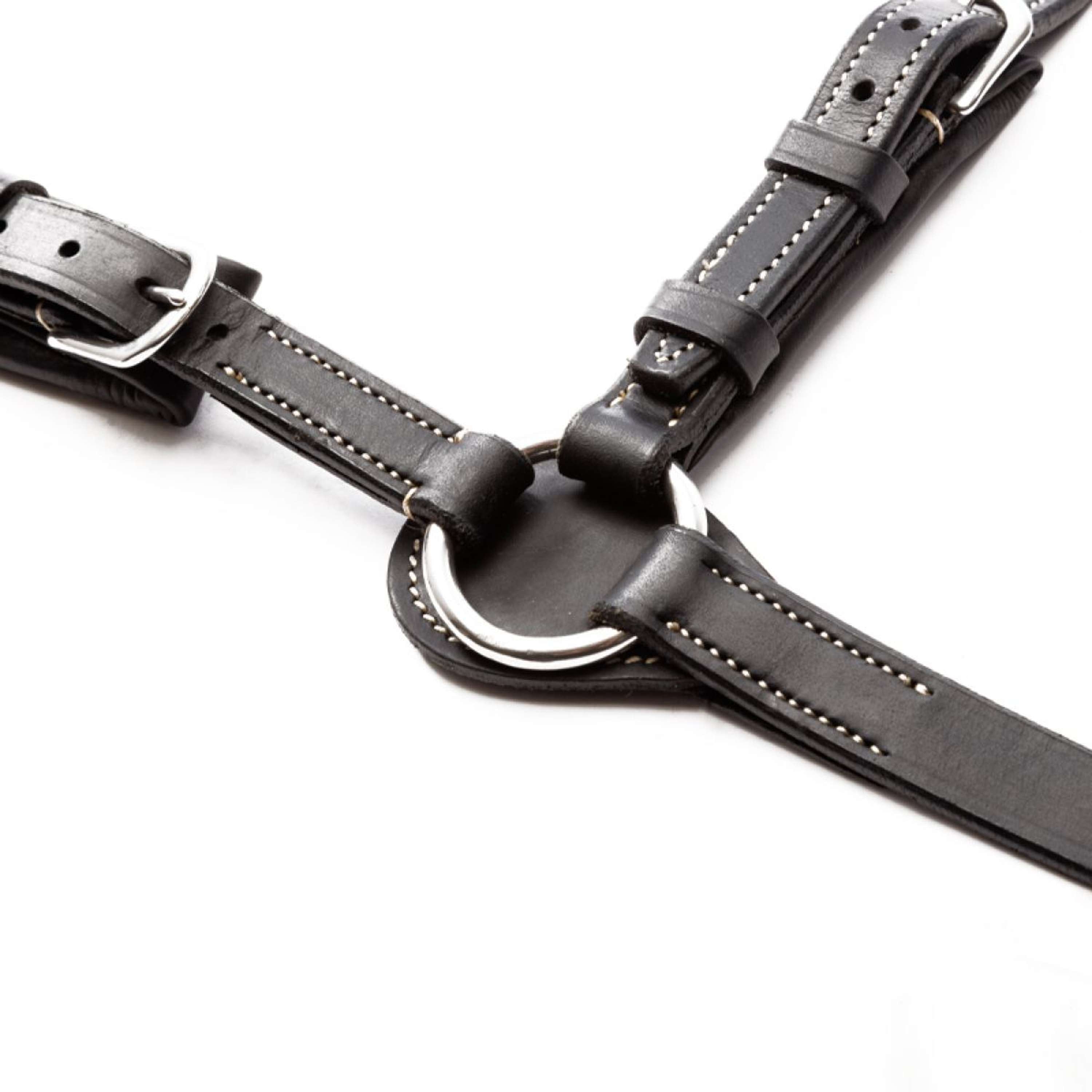 Kavalkade Chest Buckle Jerome 2-Point Black