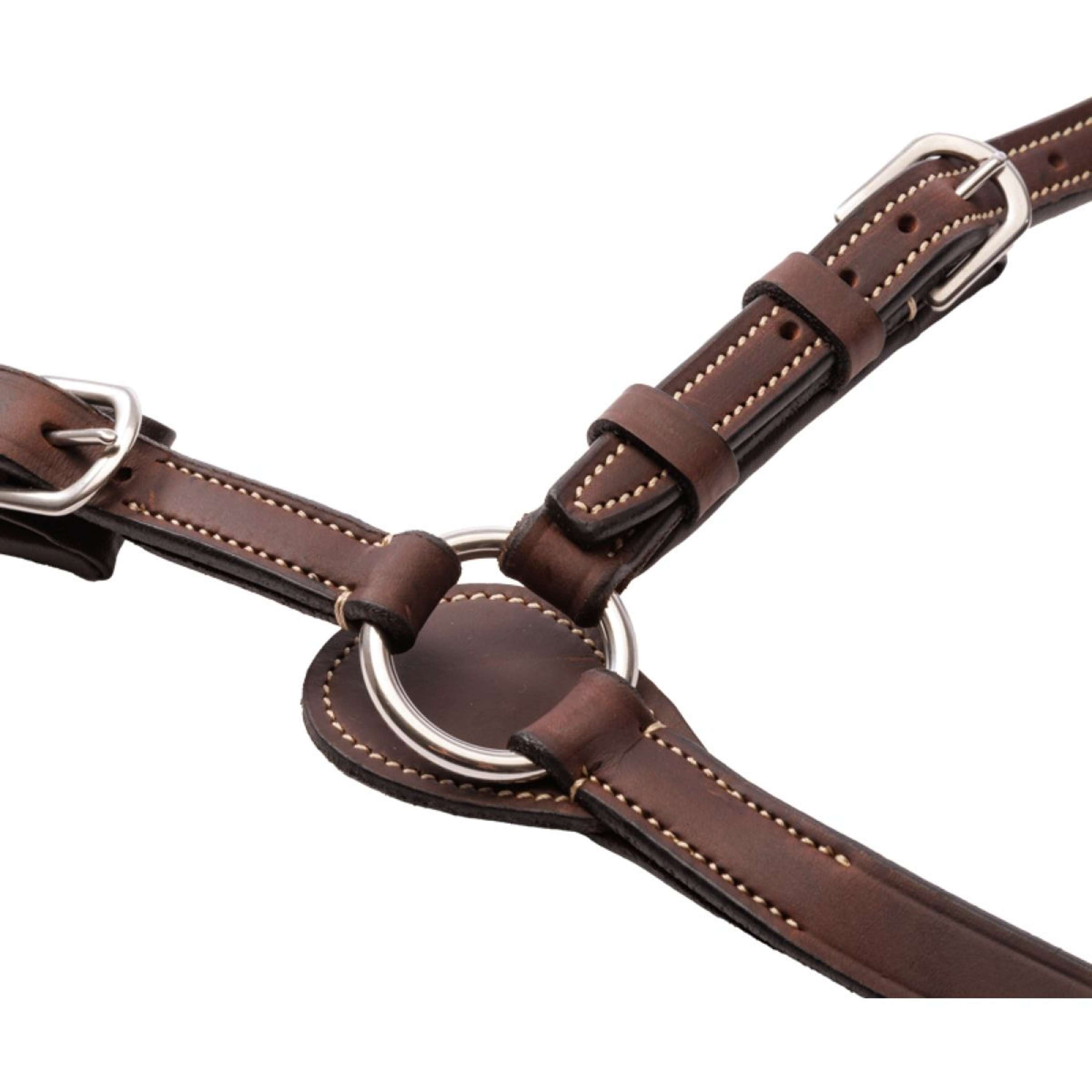 Kavalkade Chest Buckle Jerome 2-Point Brown