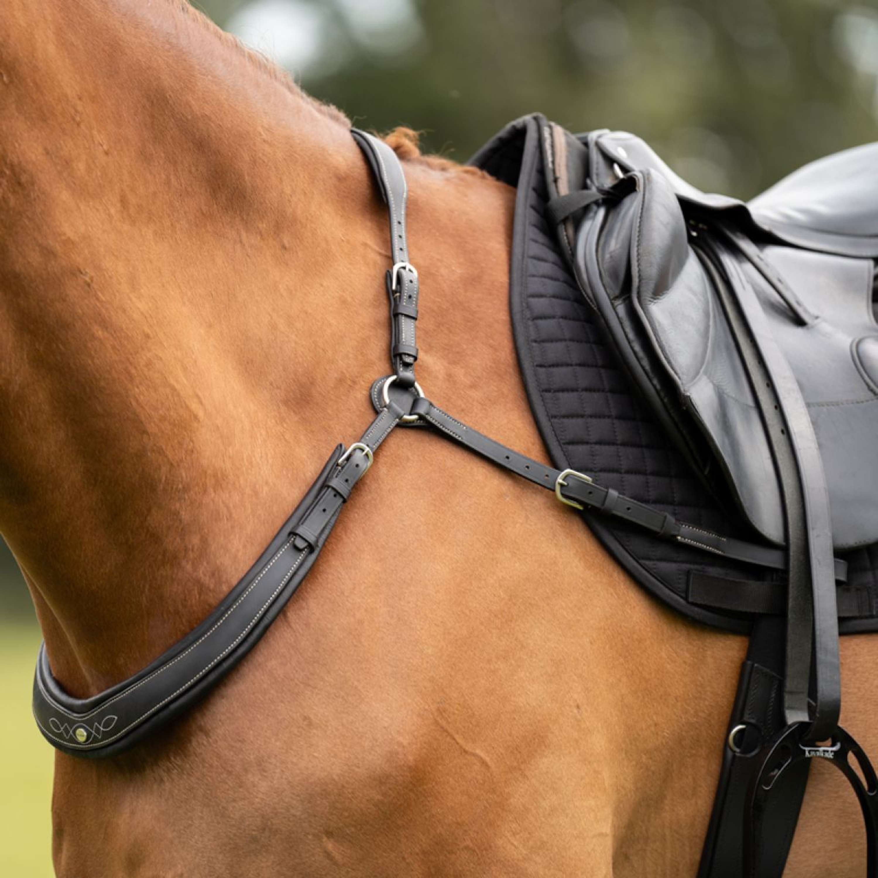 Kavalkade Chest Buckle Jerome 2-Point Black