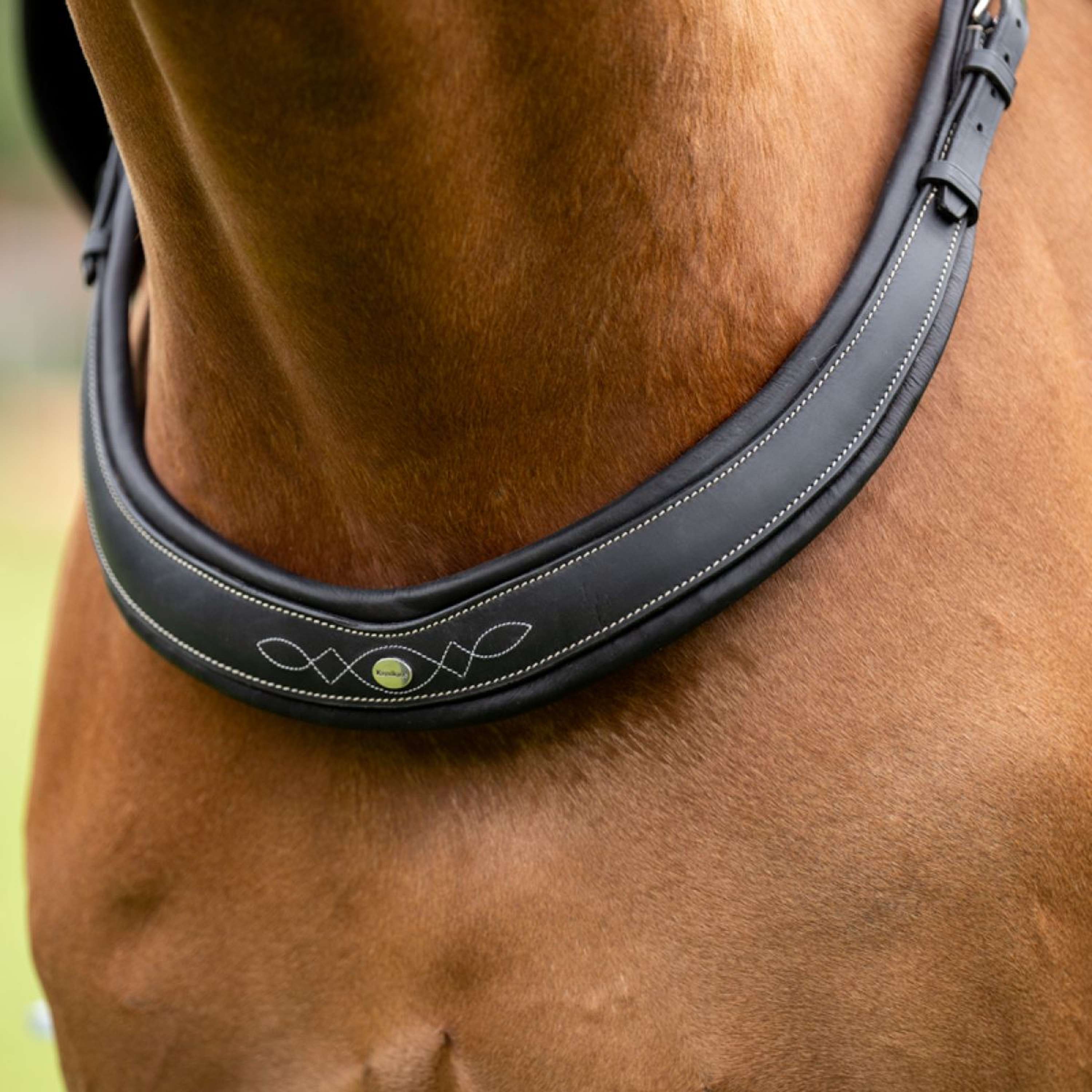 Kavalkade Chest Buckle Jerome 2-Point Black