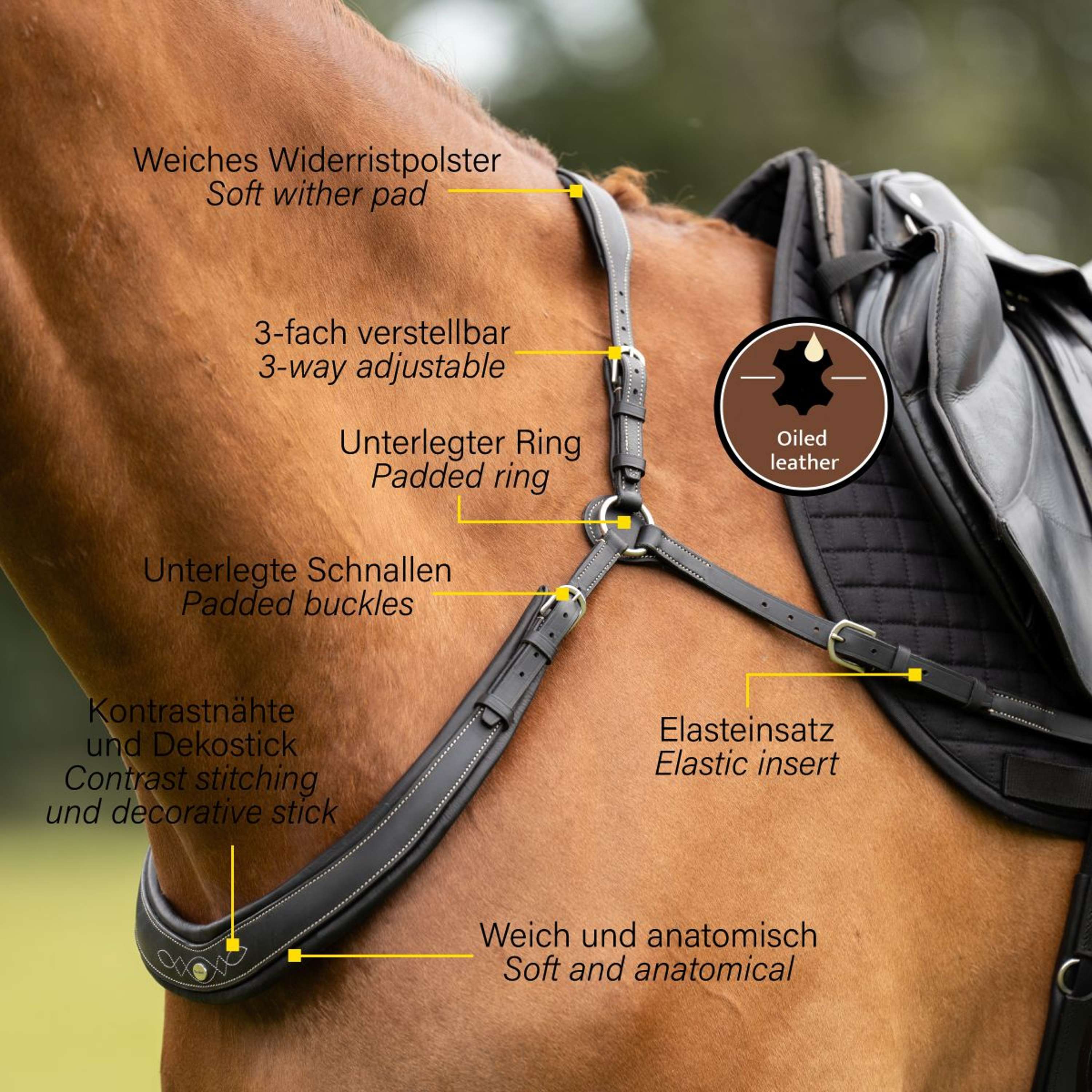 Kavalkade Chest Buckle Jerome 2-Point Black