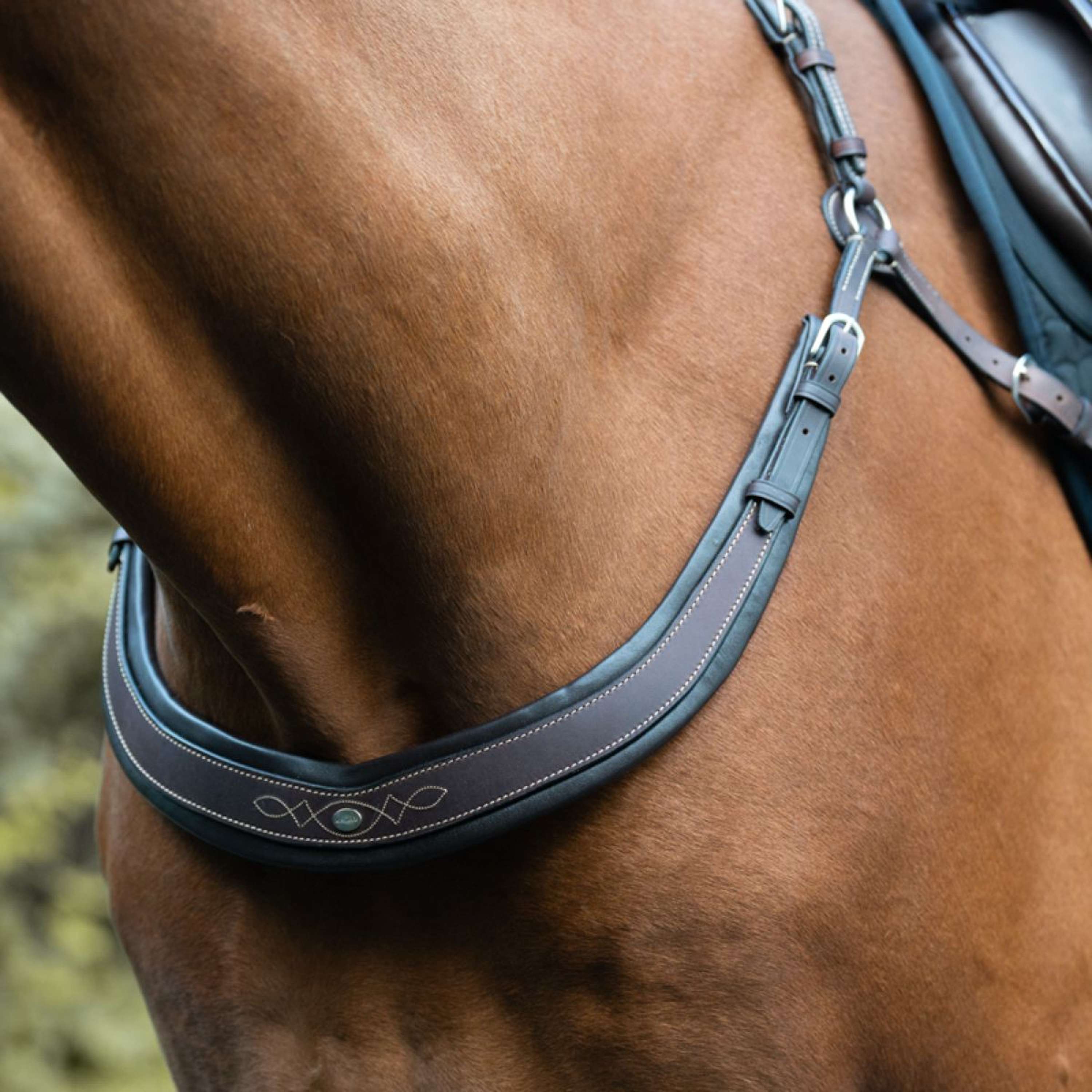 Kavalkade Chest Buckle Jerome 2-Point Brown