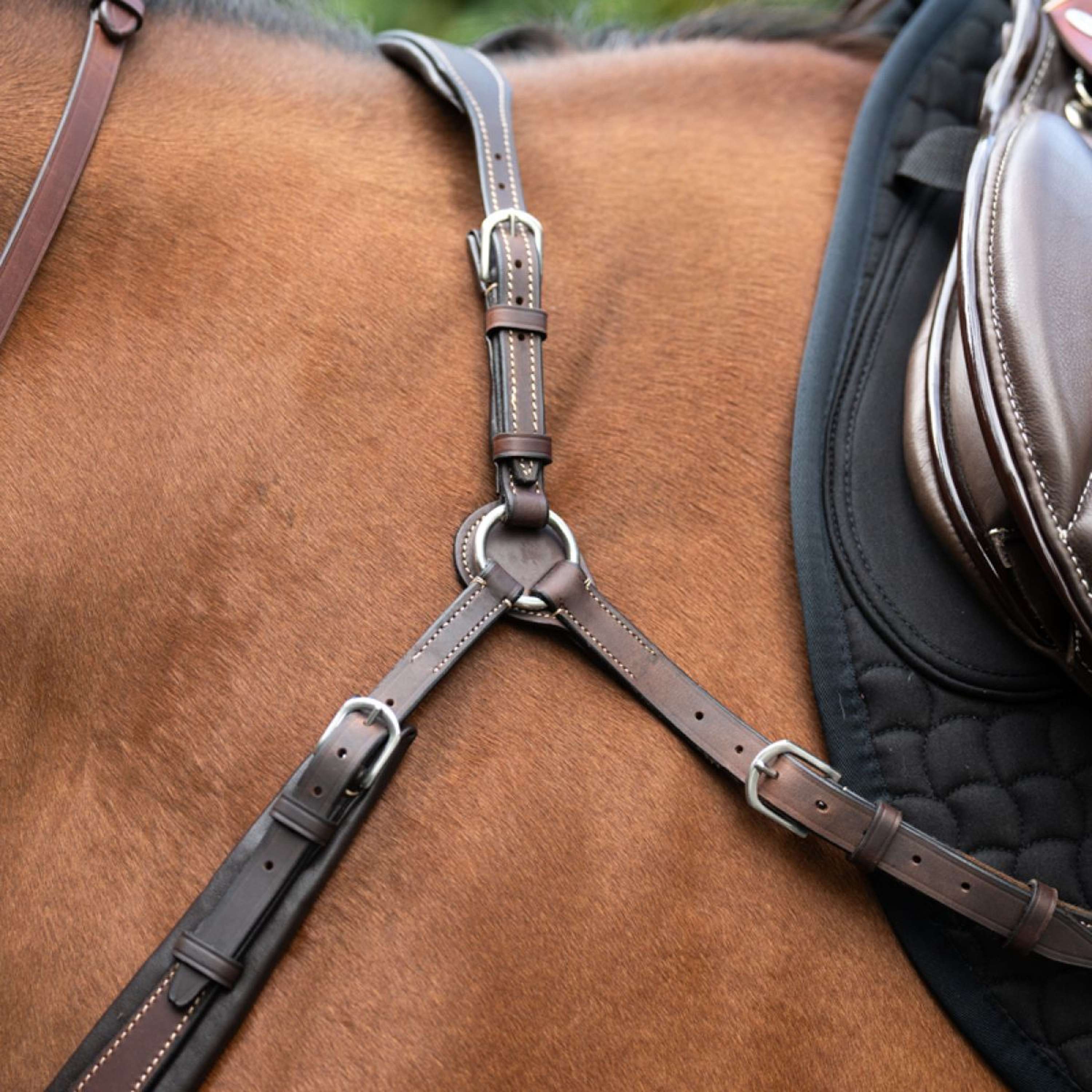 Kavalkade Chest Buckle Jerome 2-Point Brown