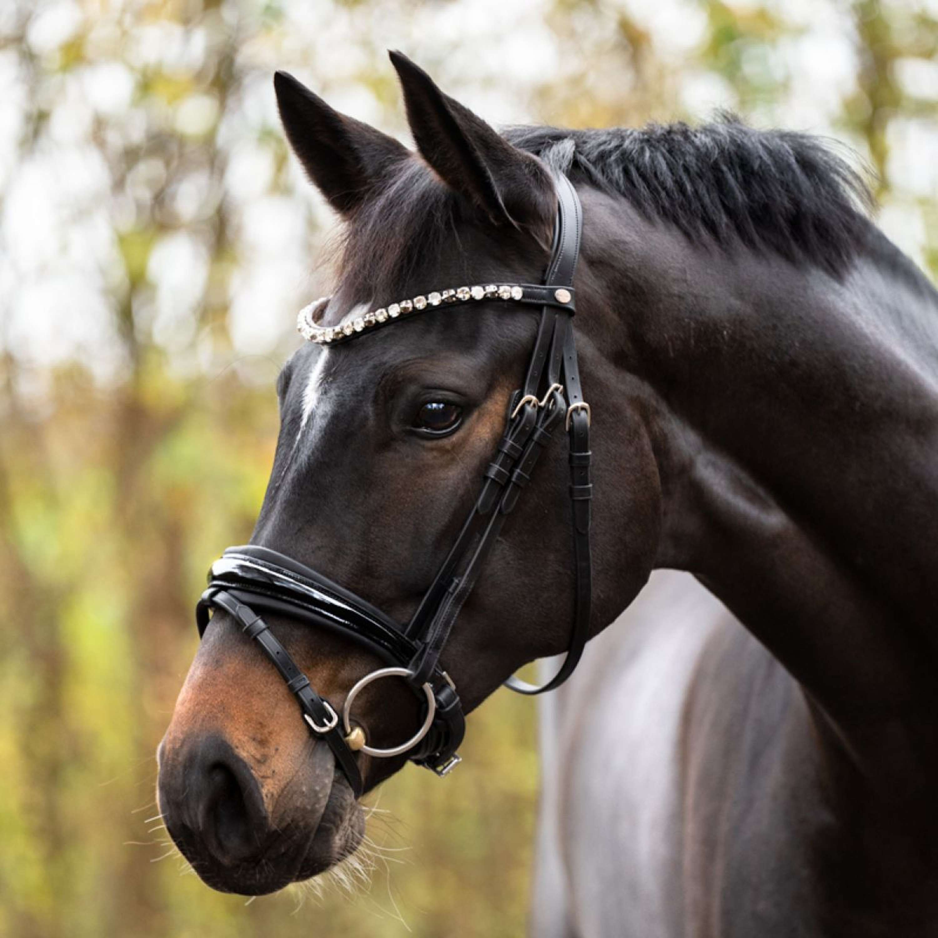 Kavalkade Bridle Zora Black/Patent/Black