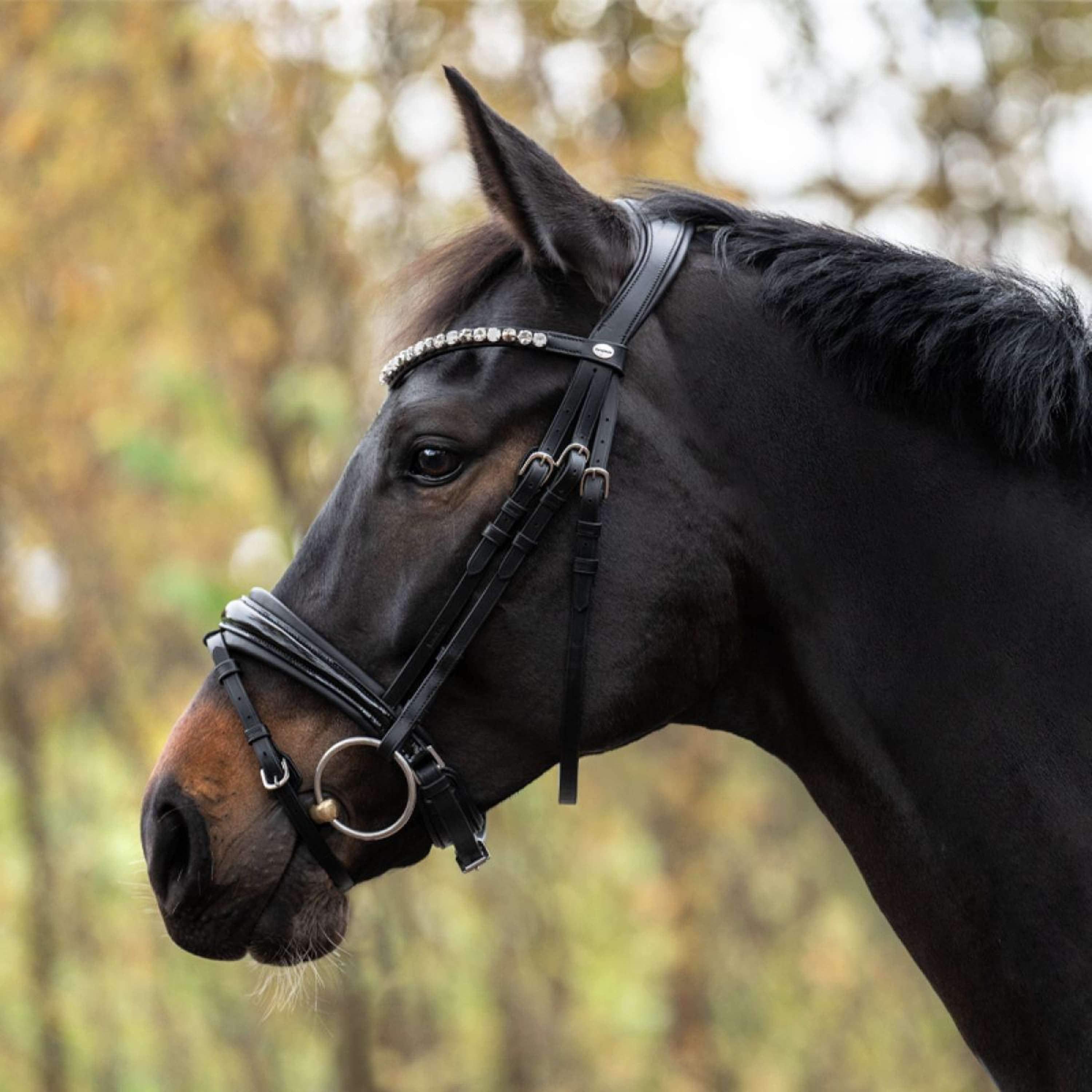 Kavalkade Bridle Zora Black/Patent/Black