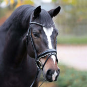 Kavalkade Bridle Charlotte DR Black-White