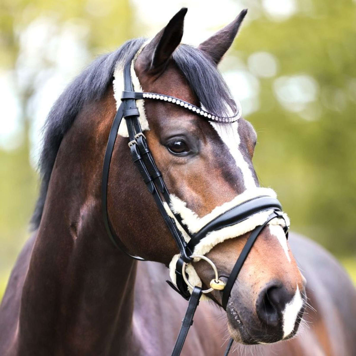 Kavalkade Bridle Joyce Black