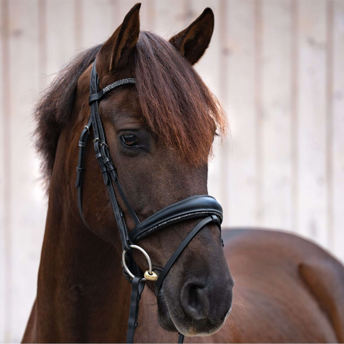 Kavalkade Bridle Victoria Black Full Black