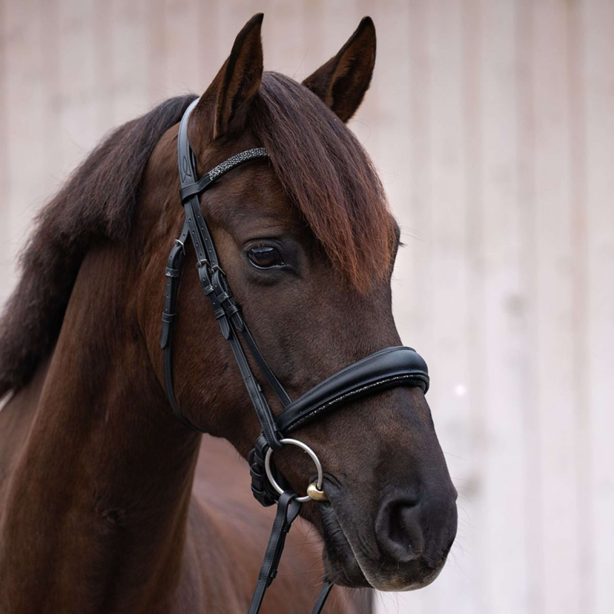 Kavalkade Bridle Victoria Black Full Black