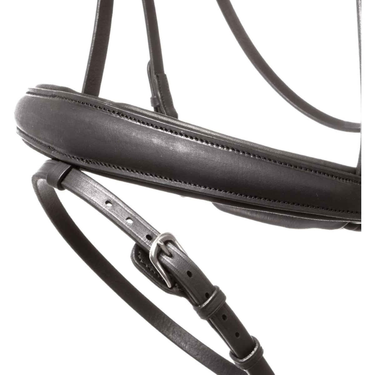 Kavalkade Bridle Everlyn English Black