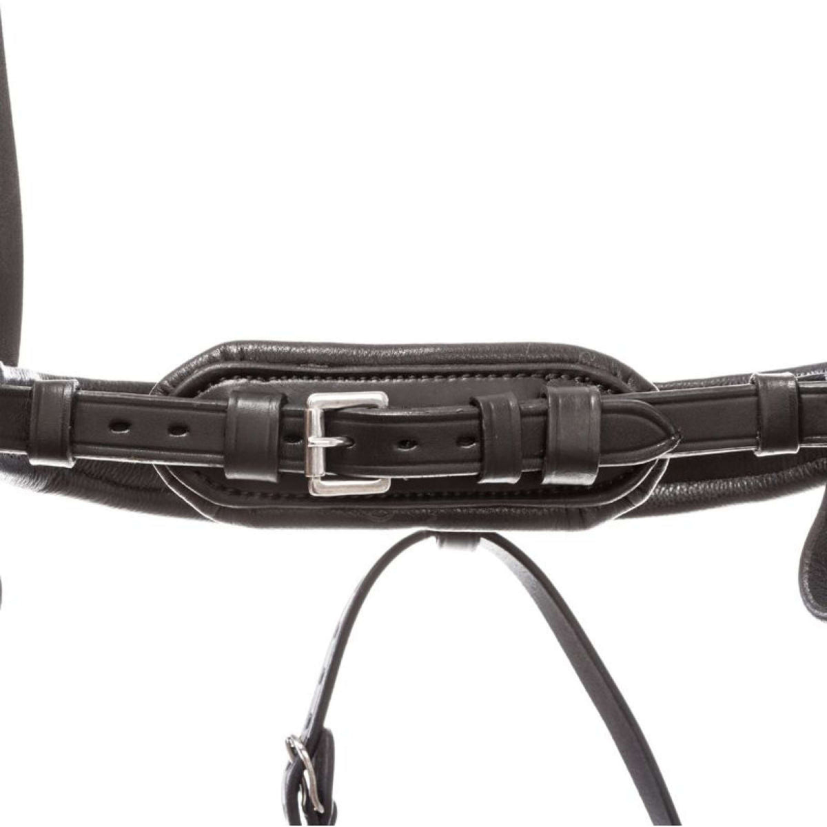 Kavalkade Bridle Proline-Astrid Black