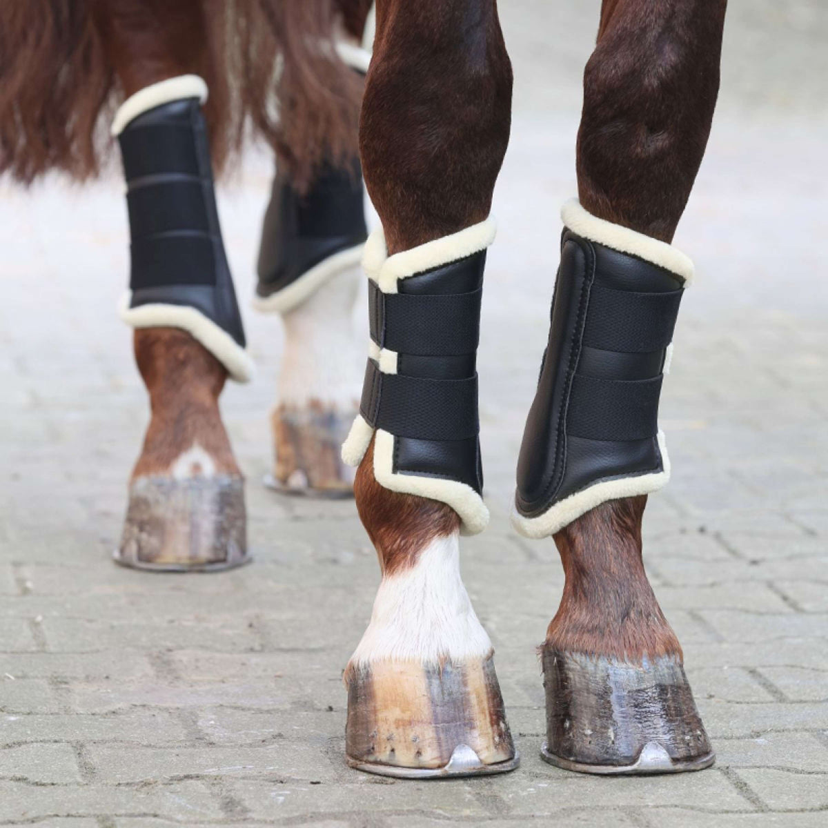 Kavalkade Dressageboots with Fake Fur Black