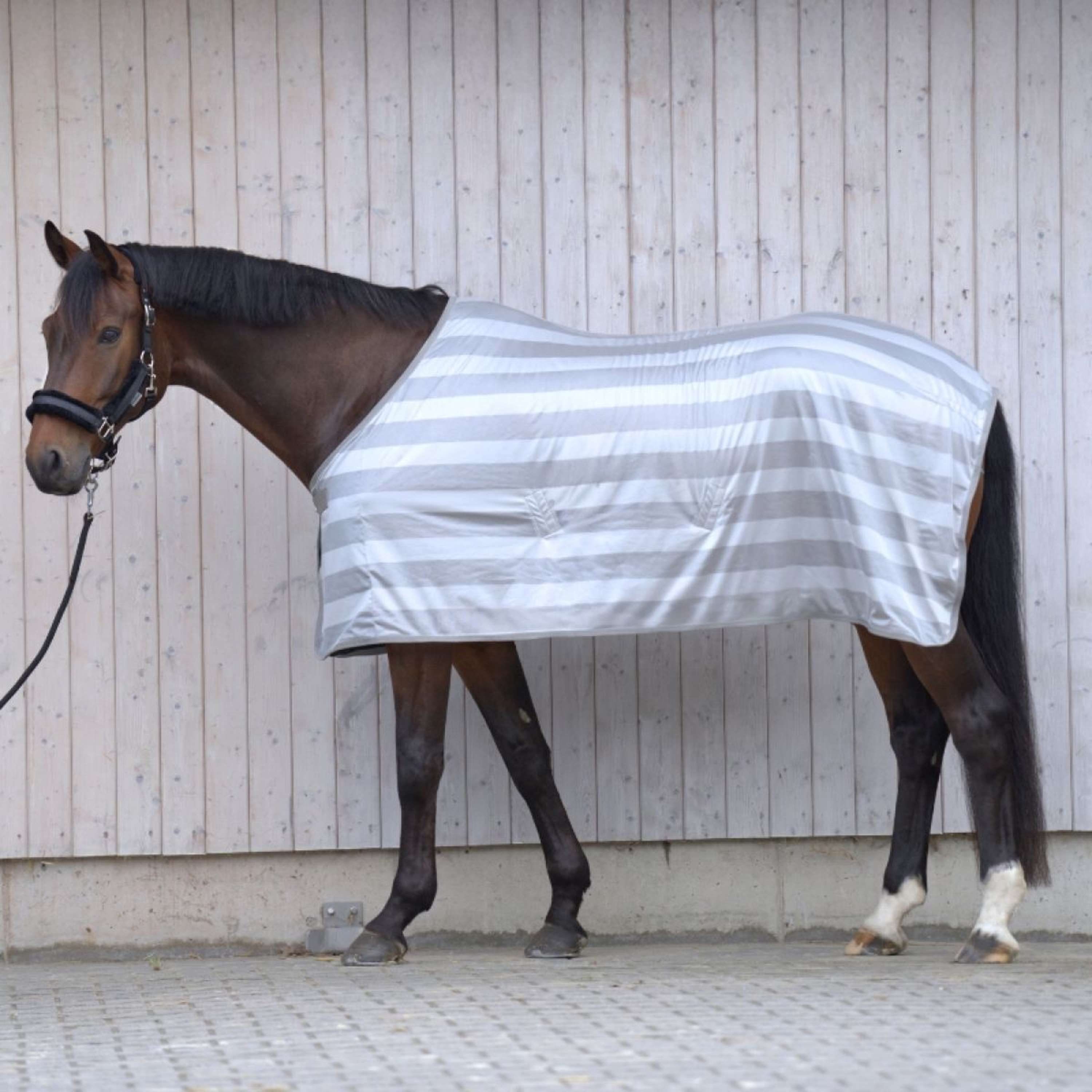 Kavalkade Fly Rug Stripe Silver