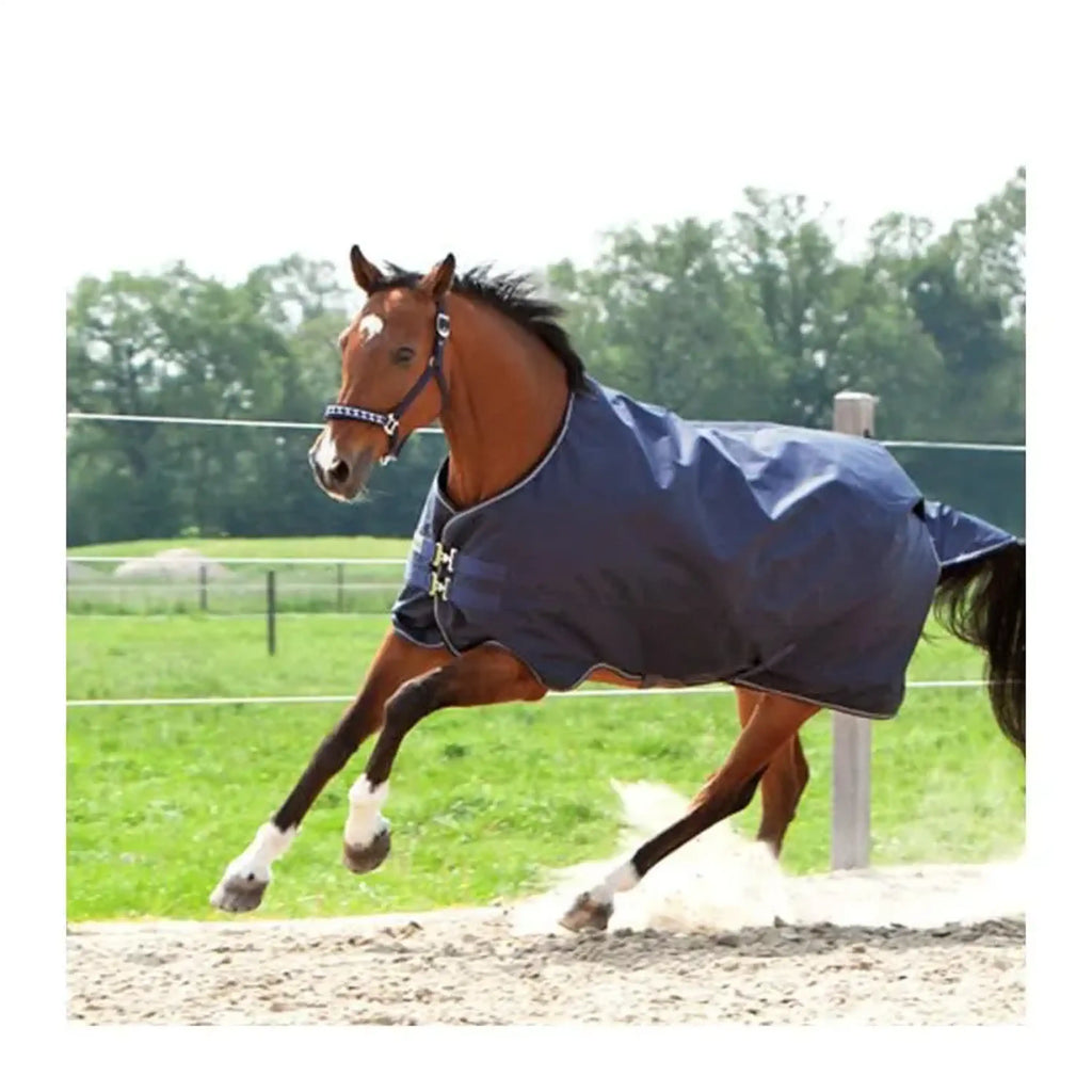 Kavalkade Outdoor Rug Montreal 100g Navy