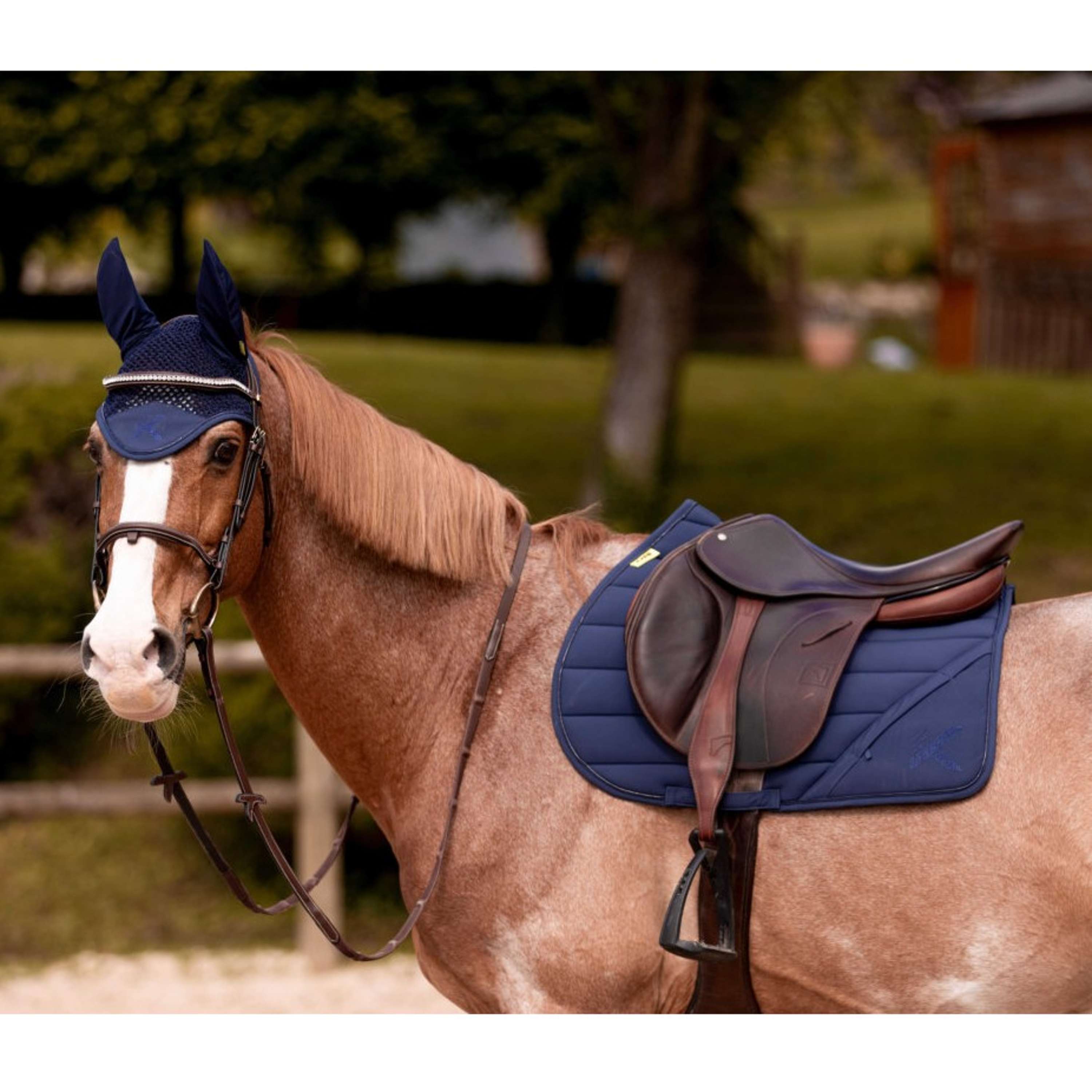 K by EQUITHÈME Saddlepad Vega All Purpose Navy