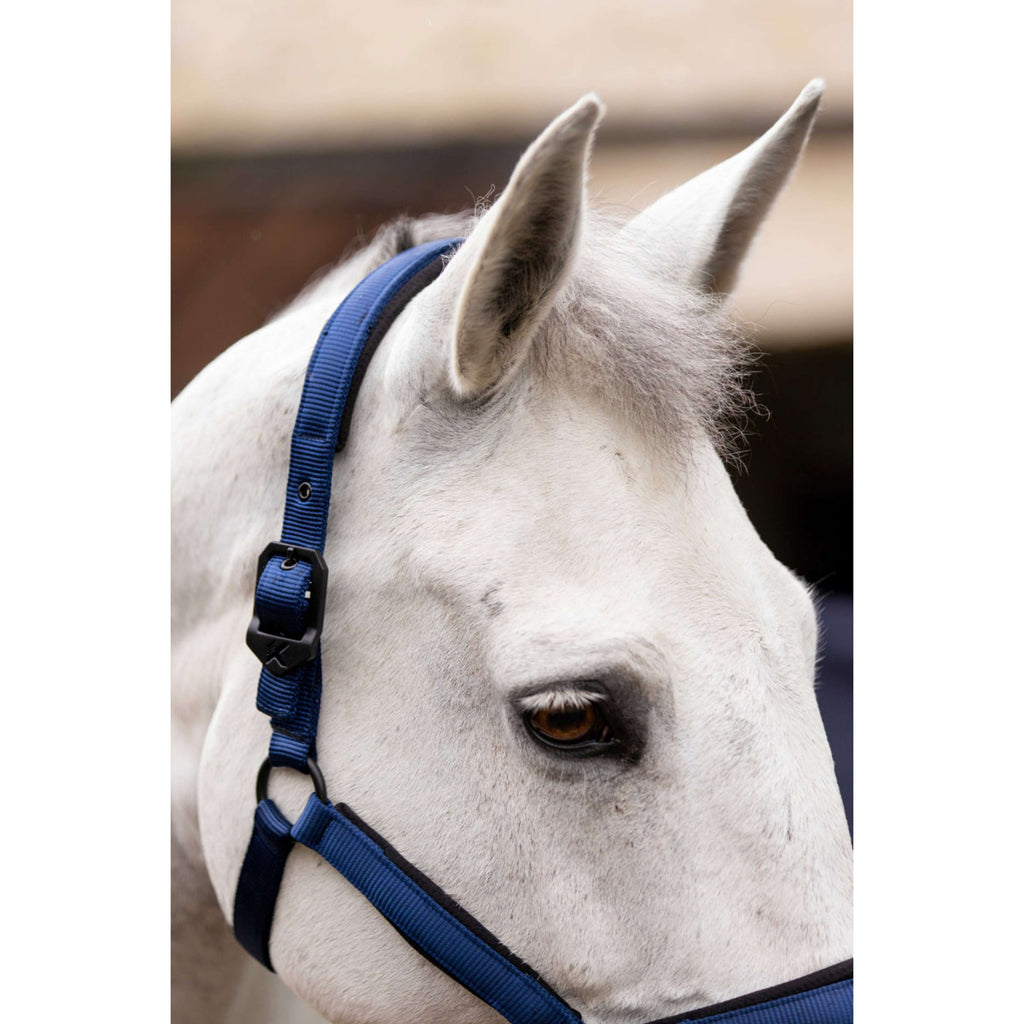 K by EQUITHÈME Halter Triton Royal Blue