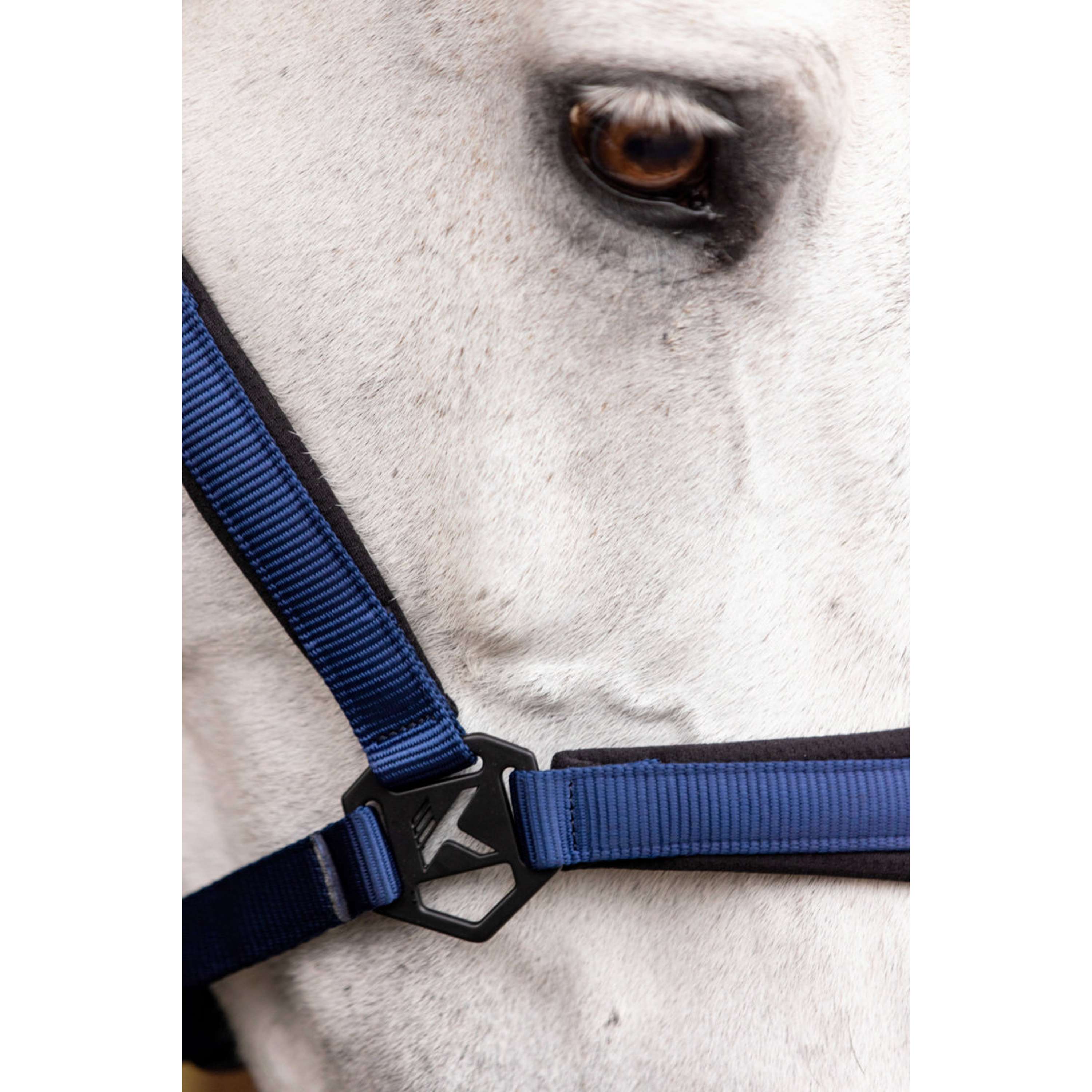 K by EQUITHÈME Halter Triton Royal Blue