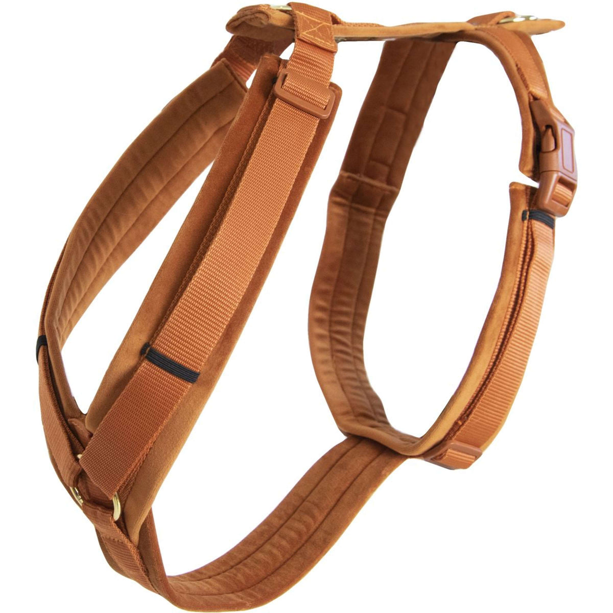 Kentucky Harness Active Velvet Orange