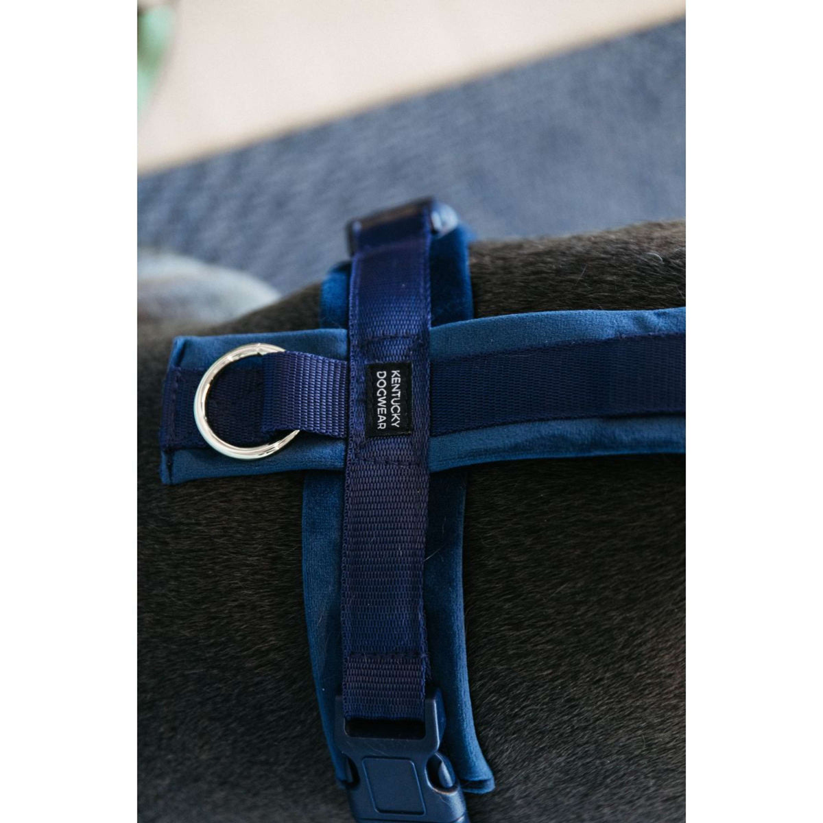 Kentucky Harness Active Velvet Navy