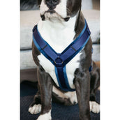 Kentucky Harness Active Velvet Navy