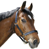 Covalliero Head-Collar Eco Black