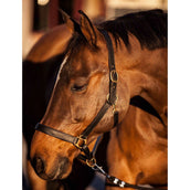 Covalliero Head-Collar Eco Black