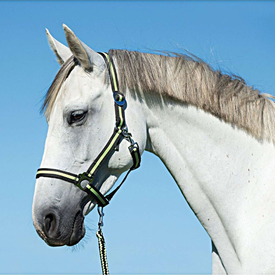Covalliero Head-Collar Hippo Antracite/Lemon