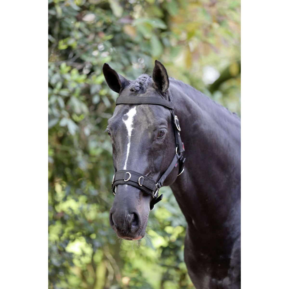 Kerbl Lunging Halter Synthetic Black