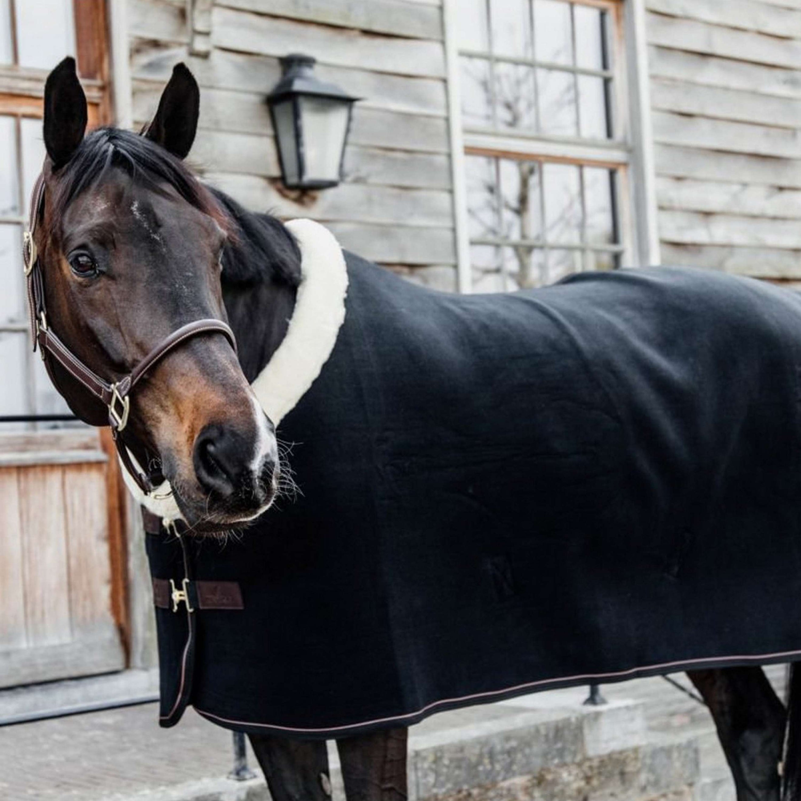 Kentucky Sweat Rug Show Fleece Heavy Black