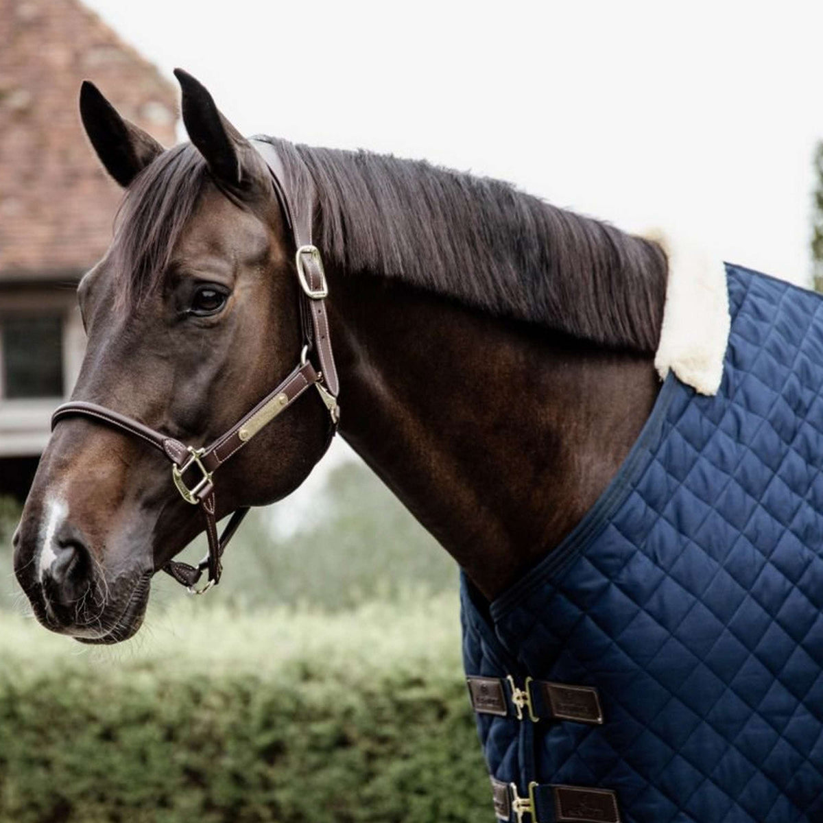 Kentucky Stable Rug 200g Navy