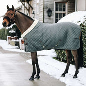 Kentucky Show Rug 160g Green/Grey