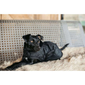 Kentucky Dog Coat Original Royal Black